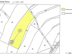Prodej lesa, Číchov, 7090 m2