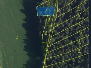 Prodej lesa, Kojčice, 1102 m2