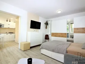 Prodej bytu 1+1, Znojmo, Gagarinova, 33 m2