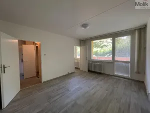 Pronájem bytu 1+kk, Bílina - Pražské Předměstí, Alšova, 27 m2