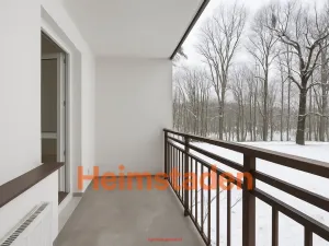 Pronájem bytu 1+1, Český Těšín, Hornická, 48 m2