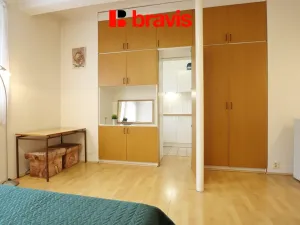 Pronájem bytu 1+1, Brno - Žabovřesky, Královopolská, 30 m2