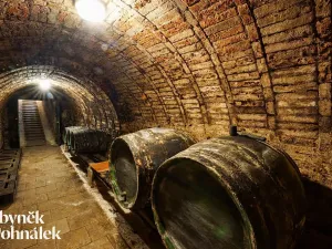 Prodej vinného sklepa, Hovorany, 69 m2