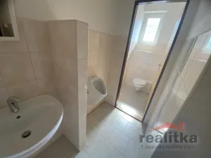 Prodej rodinného domu, Opava - Jaktař, Přemyslovců, 525 m2