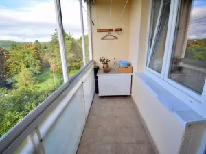 Pronájem bytu 1+1, Brno - Pisárky, Preslova, 35 m2