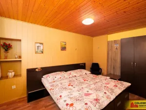 Prodej ubytování, Valtice - Úvaly, 270 m2