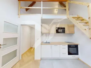 Pronájem bytu 1+kk, Plzeň, Nerudova, 35 m2