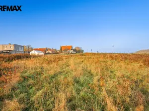 Prodej rodinného domu, Březová-Oleško - Březová, Hlavní, 765 m2