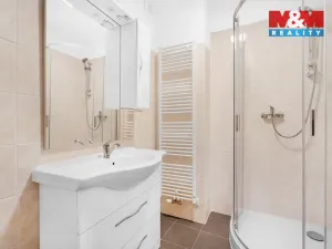 Pronájem bytu 1+kk, Plazy, 30 m2