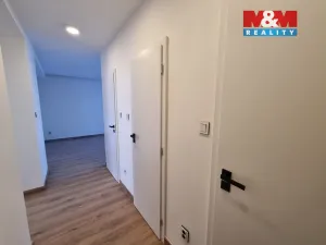 Prodej bytu 3+kk, Havířov - Podlesí, Družstevnická, 65 m2