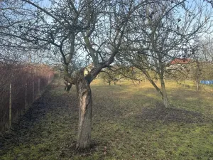 Prodej pozemku pro bydlení, Oskořínek, Ronovská, 1729 m2