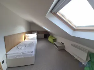 Pronájem restaurace, Klentnice, 822 m2