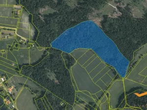 Prodej lesa, Horní Radouň - Nový Bozděchov, 50537 m2