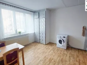 Prodej bytu 1+1, Cheb, Do Zátiší, 33 m2