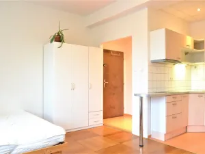 Pronájem bytu 1+kk, Brno - Veveří, Žižkova, 25 m2
