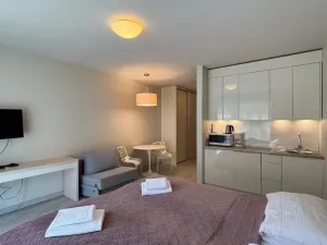 Prodej apartmánu, Dolní Morava, 28 m2