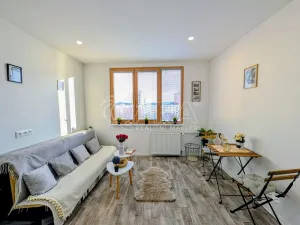 Prodej bytu 1+kk, Plzeň - Doudlevce, Šimerova, 19 m2