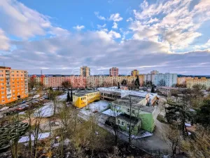 Prodej bytu 1+kk, Plzeň - Doudlevce, Šimerova, 19 m2