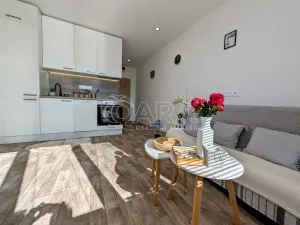 Prodej bytu 1+kk, Plzeň - Doudlevce, Šimerova, 21 m2