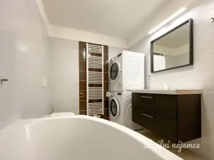 Pronájem bytu 1+kk, Brno - Královo Pole, Božetěchova, 61 m2