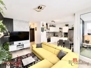 Prodej bytu 2+kk, Plzeň - Severní Předměstí, Na Chmelnicích, 50 m2