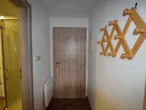 Pronájem bytu 1+kk, Bělá pod Pradědem, 29 m2