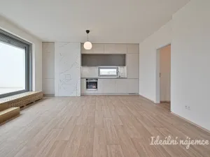 Pronájem bytu 3+kk, Brno - Horní Heršpice, Řepova, 97 m2