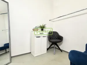 Prodej bytu 2+1, Brno, Barvy, 58 m2