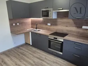 Pronájem bytu 1+1, České Budějovice, Novohradská, 33 m2