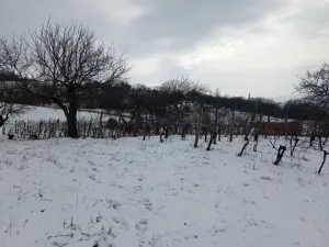 Prodej zahrady, Mikulov, Nová, 467 m2