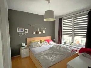 Pronájem rodinného domu, Jihlava, Halasova, 123 m2