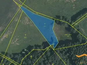 Prodej rybníku, Horní Radouň - Starý Bozděchov, 12120 m2