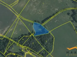 Prodej rybníku, Horní Radouň - Starý Bozděchov, 12120 m2