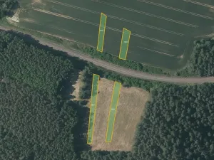 Prodej pole, Mladotice, 11461 m2