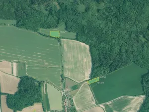 Prodej pole, Olešník, 67455 m2