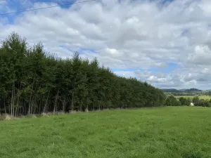 Prodej pole, Česká Kamenice, 108179 m2