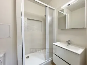 Pronájem bytu 2+kk, České Budějovice - České Budějovice 2, N. Frýda, 42 m2