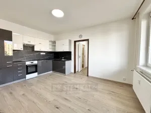 Pronájem bytu 2+kk, České Budějovice - České Budějovice 2, N. Frýda, 42 m2