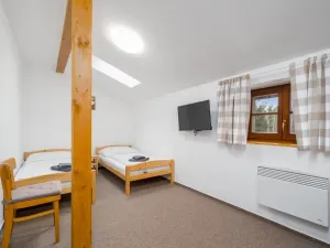 Prodej ubytování, Nový Bor - Janov, 200 m2