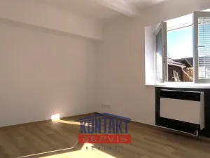 Prodej bytu 1+1, Písek - Budějovické Předměstí, Táborská, 24 m2