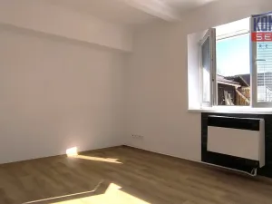 Prodej bytu 1+1, Písek - Budějovické Předměstí, Táborská, 27 m2