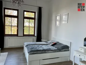 Pronájem bytu 1+1, Opatovice nad Labem, Neplachova, 40 m2