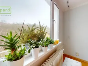 Prodej bytu 2+1, Ústí nad Labem - Neštěmice, Železná, 62 m2