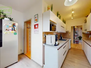 Prodej bytu 2+1, Ústí nad Labem - Neštěmice, Železná, 62 m2