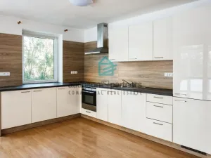 Pronájem rodinného domu, Hlincová Hora, Kodetka Okružní, 290 m2