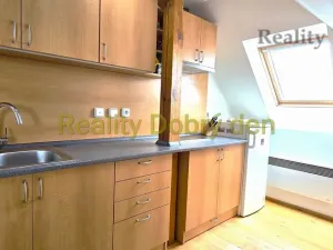 Pronájem bytu 1+kk, Opava, Nerudova, 53 m2