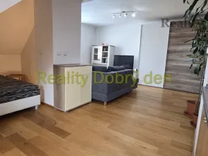 Pronájem bytu 1+kk, Opava, Nerudova, 53 m2
