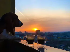 Prodej bytu 3+1, Ostrava, Poděbradova, 70 m2