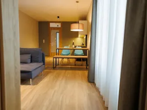 Pronájem bytu 2+kk, Plzeň, Pallova, 52 m2