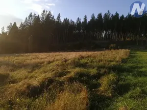 Prodej pozemku, Želnava, 14303 m2